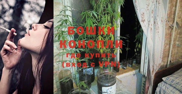 винт Баксан