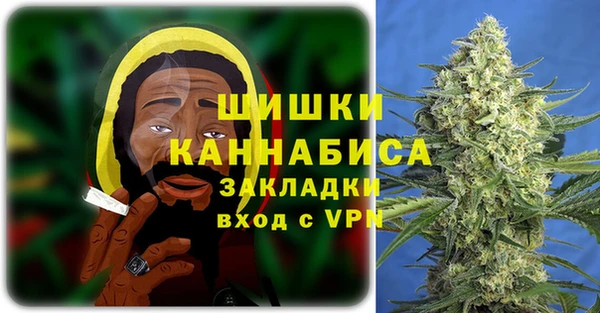 трава Балахна