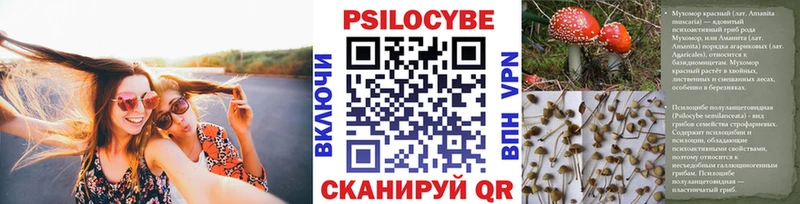 Галлюциногенные грибы Psilocybine cubensis Грайворон