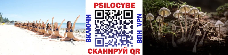 даркнет сайт  Грайворон  Галлюциногенные грибы прущие грибы 